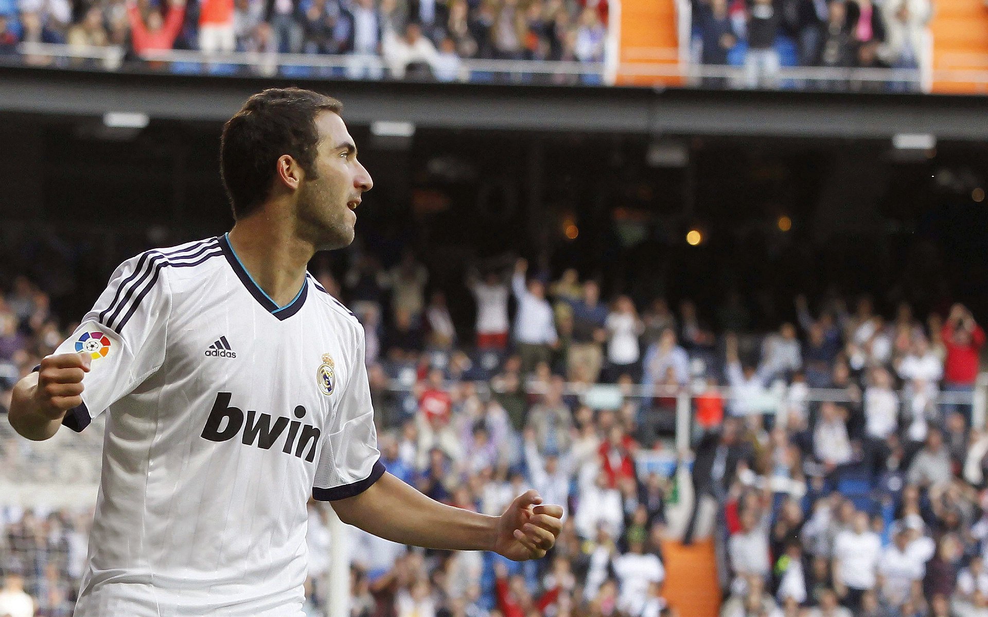 美洲杯明星盛放：荣耀瞬间，精彩无限！，美洲杯人气