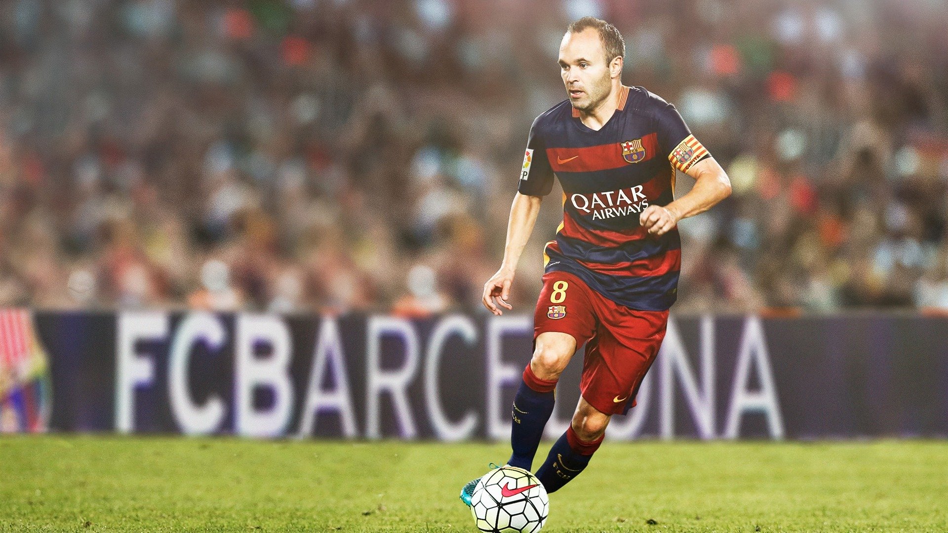 女篮精神让奋斗更加坚定，女篮精神作文